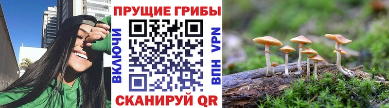 Псилоцибиновые грибы MAGIC MUSHROOMS  мега   Ардон 